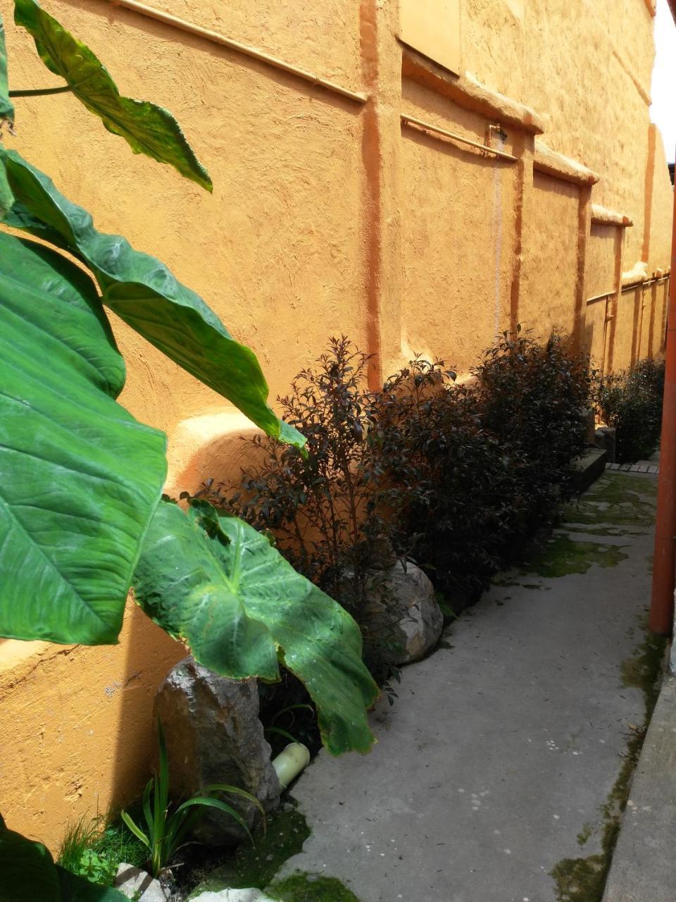 Casa-Arbol Lägenhet Bogotá Exteriör bild